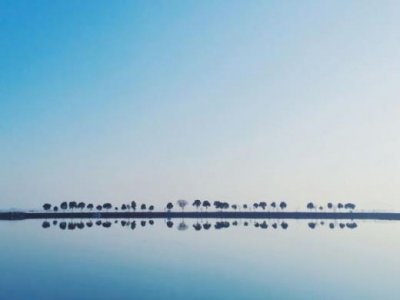 ​经典个性说说励志 抖音说说短语励志