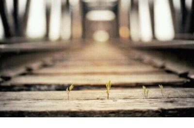 春天的文案短句