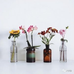 ​特别吸粉的短句（15句容易涨粉的文案）