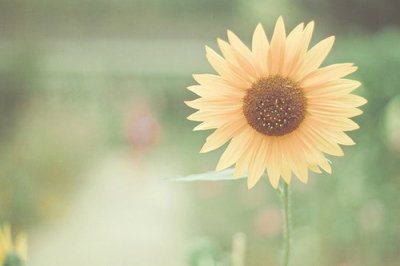 ​qq说说伤感长一点的109句