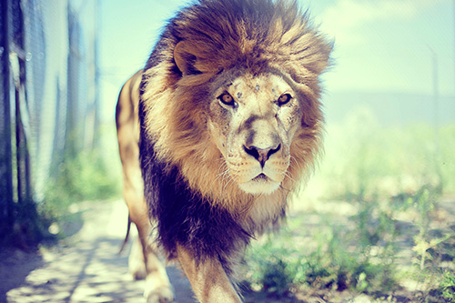 想念父母的说说短语(精选65句)