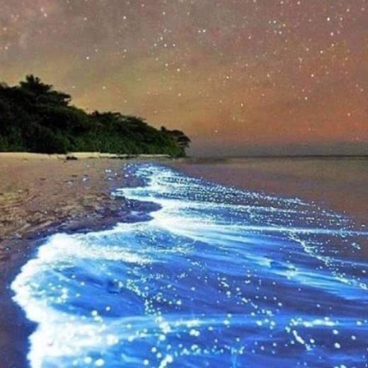 岁月的句子短句唯美