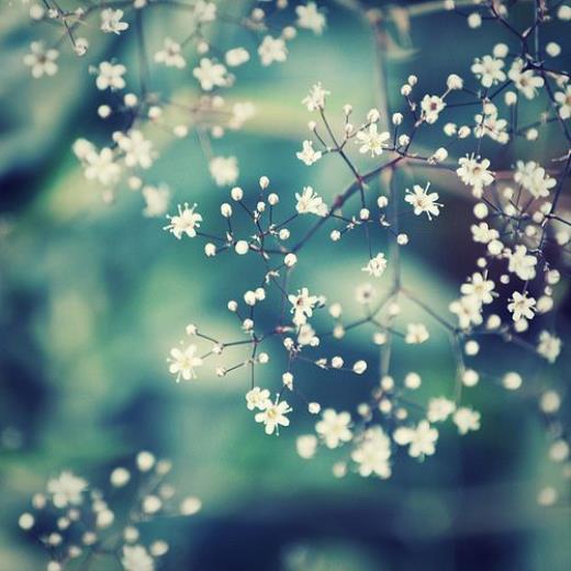 希望别人开心的句子