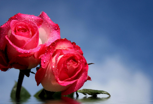 1689333935919374.png image.png