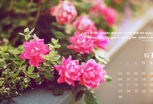 1689334267139930.png image.png