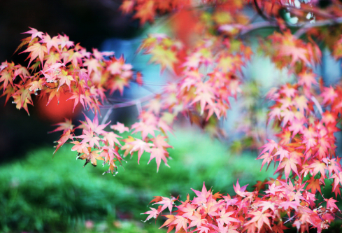 1689334599110570.png image.png