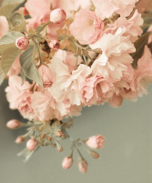 回妈妈家的好句子