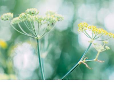 生活美好的句子简短