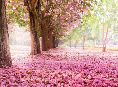 ​女人早安励志语录