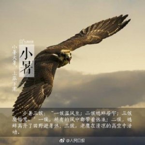 ​写给闺蜜的霸气句子(闺蜜句子唯美简短霸气)