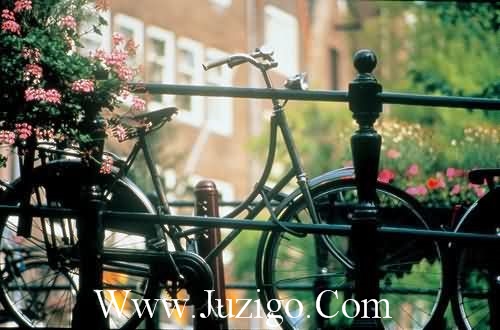 春中的好词好句春的好词好句(精选70句)