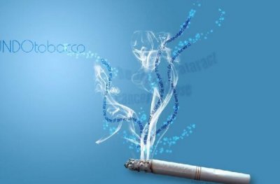 ​决定放弃一个人的短句