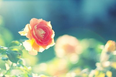 ​被骗的感觉伤心的句子被欺骗的说说心情短语(62句)