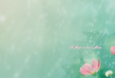 1682424950946785.png image.png