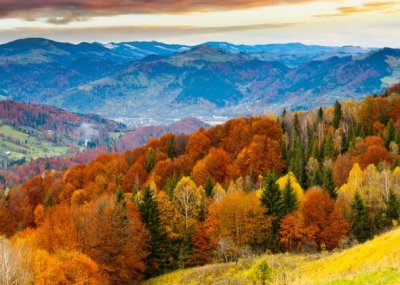 ​久别重逢的句子