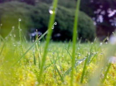 ​形容感情复合的句子