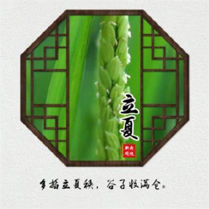 描写三亚美景经典句子