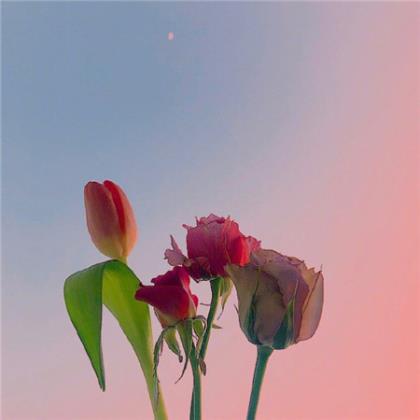 讽刺人的经典句子