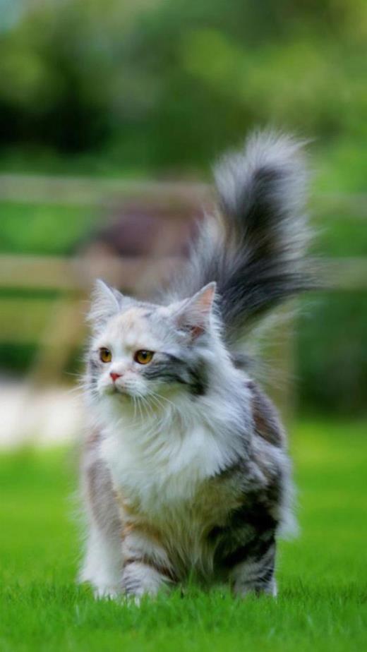 讽刺人的经典句子