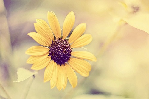 关于感受的句子91句