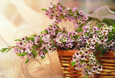 1683095715925527.png image.png