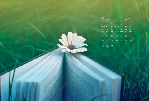 1683096047106839.png image.png