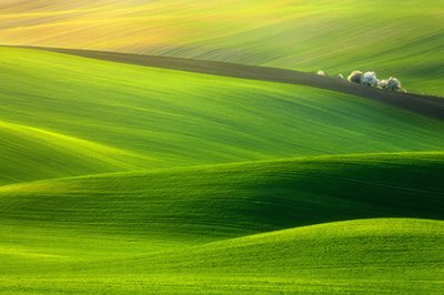 ​对自己说的励志的句子(19句)