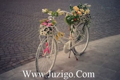 ​痛的领悟句子76句