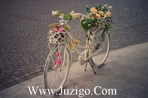 痛的领悟句子76句