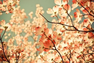 ​想念爱人的句子110句