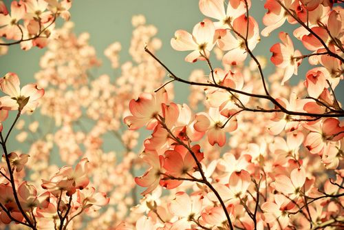 想念爱人的句子110句