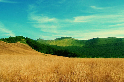 经典的英文励志句子
