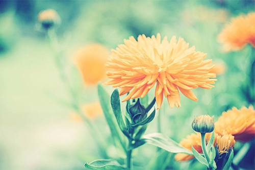 写人生感悟的句子66句