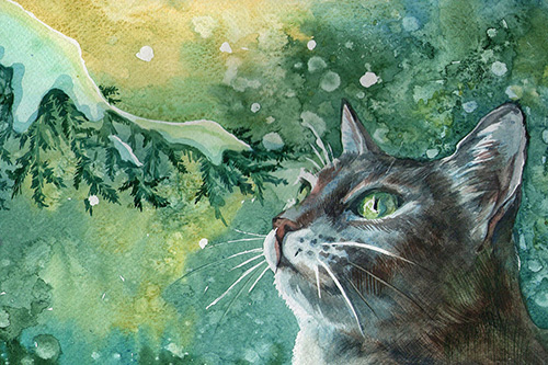 追梦励志名言100句