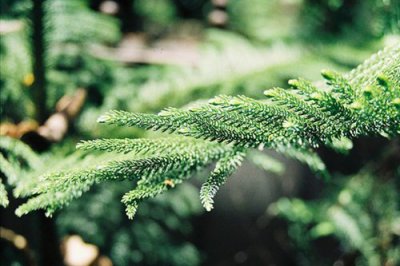 ​歌词的句子83句