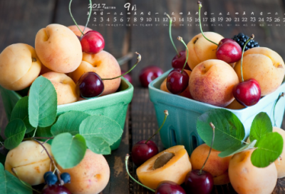 ​好玩有意思的群名字117个