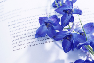 ​文雅有诗意的网名女生128个