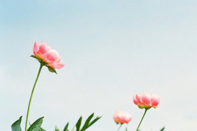 ​qq说说大全新年82句