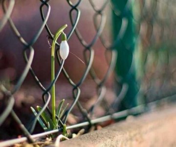 ​愿逝者安息的唯美句子