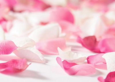 ​女人靠自己的句子