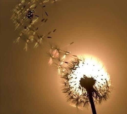 感悟人生经典句子忧伤