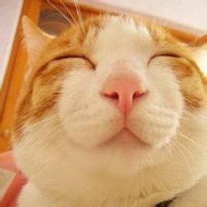 ​关于海的唯美句子（描写大海的句子短句一年级）