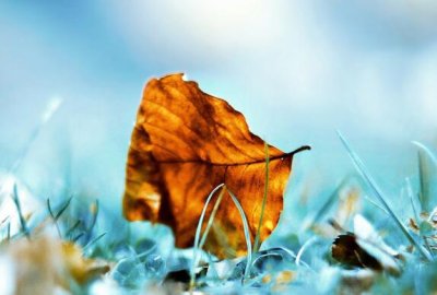 ​健康的句子短句唯美