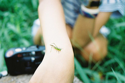 给亲爱的说早安甜蜜语句 早安暖心话短句(71句)