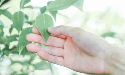 雷人雷语经典语录