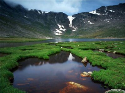 ​经典语句（雷人雷语经典语录）