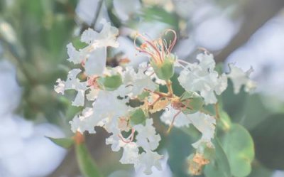 ​幽默与社交口才的经典话语