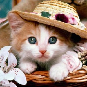 ​富有诗意的说说句子 qq说说诗意大全唯美