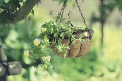 ​2023早安心语温暖语句（早安）