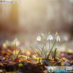 ​充满正能量阳光的发朋友圈的句子 早安语录正能量的句子 充满阳光的句子